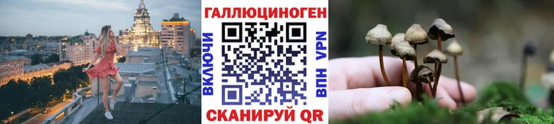 как найти Сухиничи Псилоцибиновые грибы Psilocybine cubensis